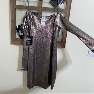 Express Shimmer Off the Shoulder Dress